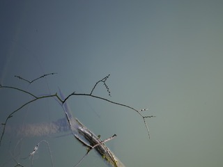 P1180670
