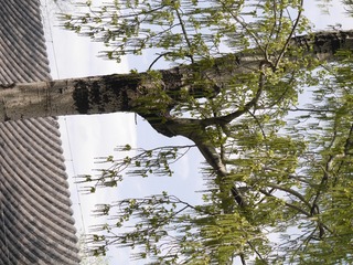 P1240826