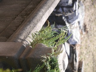 P1240946