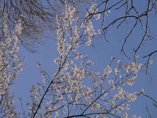 P1240951