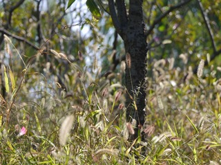 P1180507