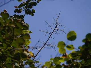 P1180684