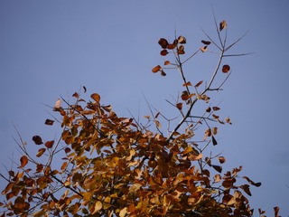 P1190061