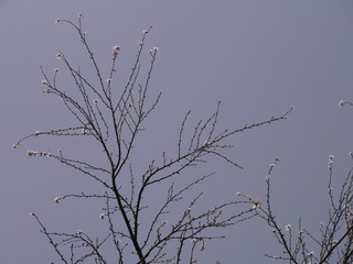 P1240666