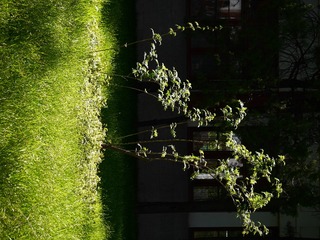 P1250566