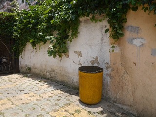 P1110825