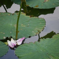 P1260078