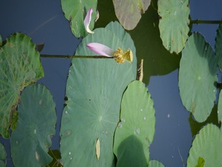 P1260089