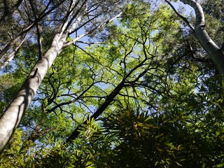 P1250916