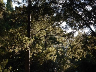 P1260155