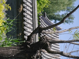 P1250897