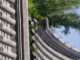 P1250898