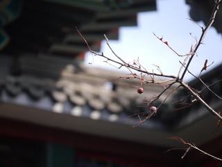 P1260317
