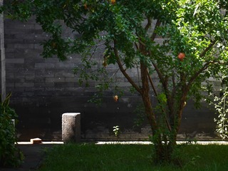 P1260370