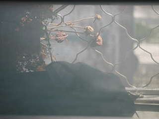 P1170837