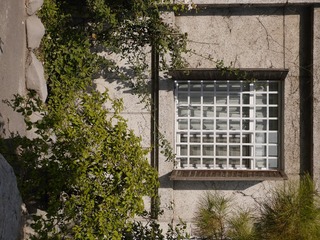 P1190102
