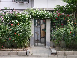 P1250617