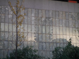 P1190645