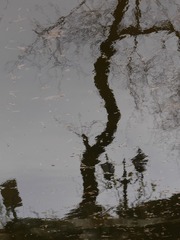 P1240864