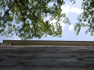 P1080650