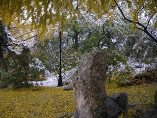 P1260940