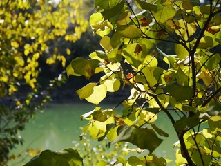 P1260810_