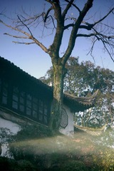 P1290004_