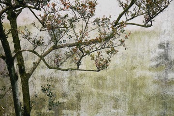 P1290677_