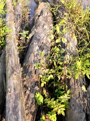 P1300968_