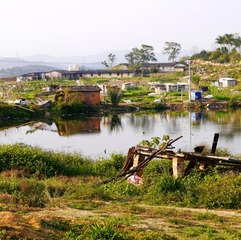 P1310051_