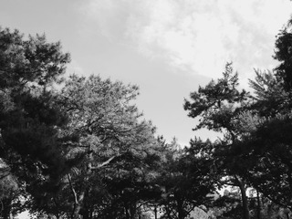 P1310673__