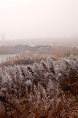 P1340866_
