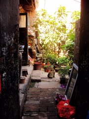 DSC01638_
