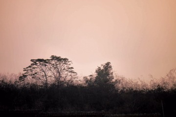 P1350102_