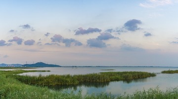 DSC02271-Pano