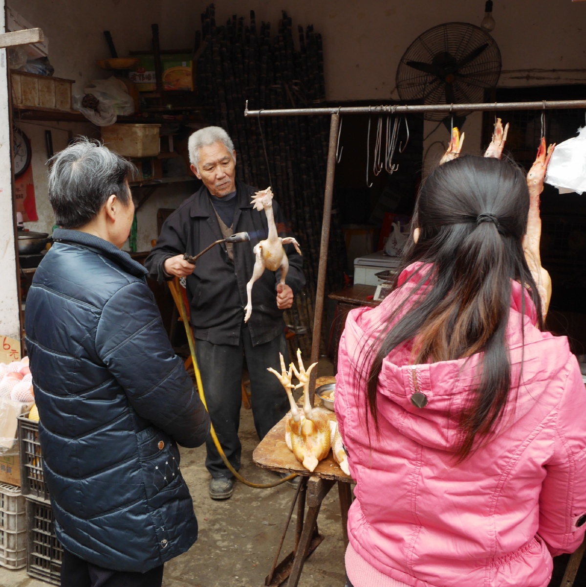 磨刀霍霍向生活