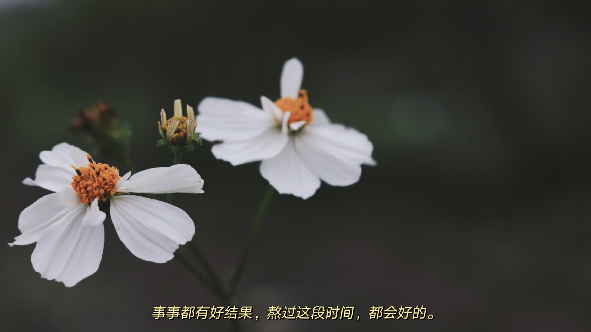 熬过这段时间,一切都会好的.