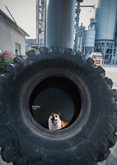001