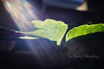 DSCF1021 拷贝