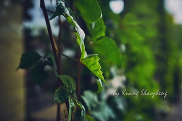DSCF1287 拷贝