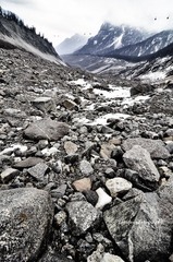 _DSC7455.jpg