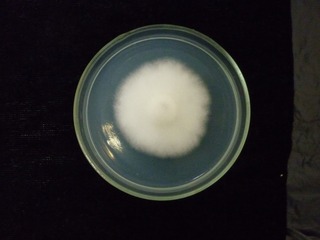 P1230128