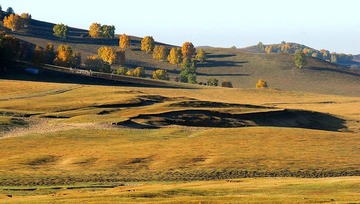 DSC_0097.jpg