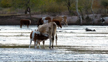 DSC_0201.jpg