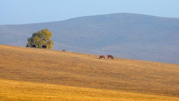 DSC_0265.jpg