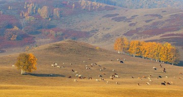 DSC_0270.jpg