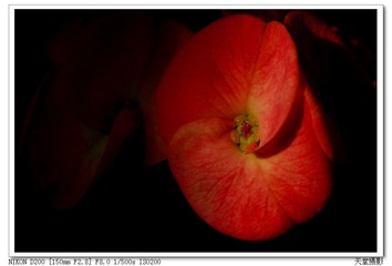 DSC_0014.jpg