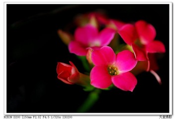 DSC_0027.jpg