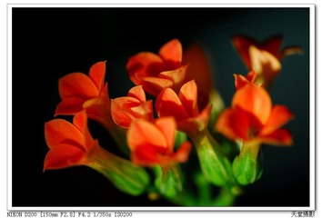 DSC_0031.jpg
