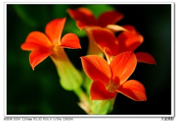 DSC_0035.jpg